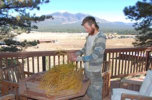 Ryan picking asparagus berries from our neighbor