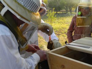 The Queen In Her Lair