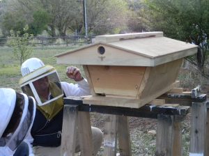 Checking to Make Sure All Is Okay