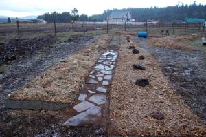 First 2 finished beds