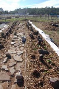 Beds 1 and 2 DSC_0009