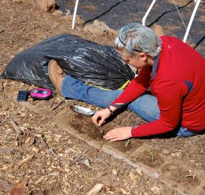Planting onions DSC_0203