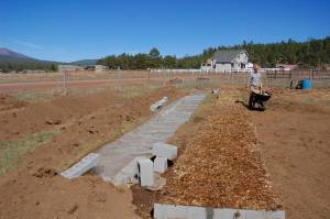 Bed 1 - finished product - Bed 2 - mesh down DSC_0204
