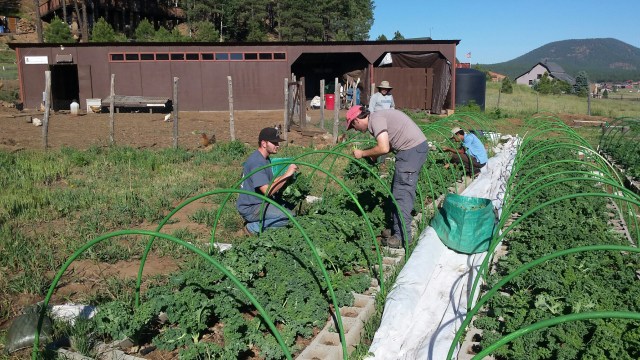 20160705_080359_resized