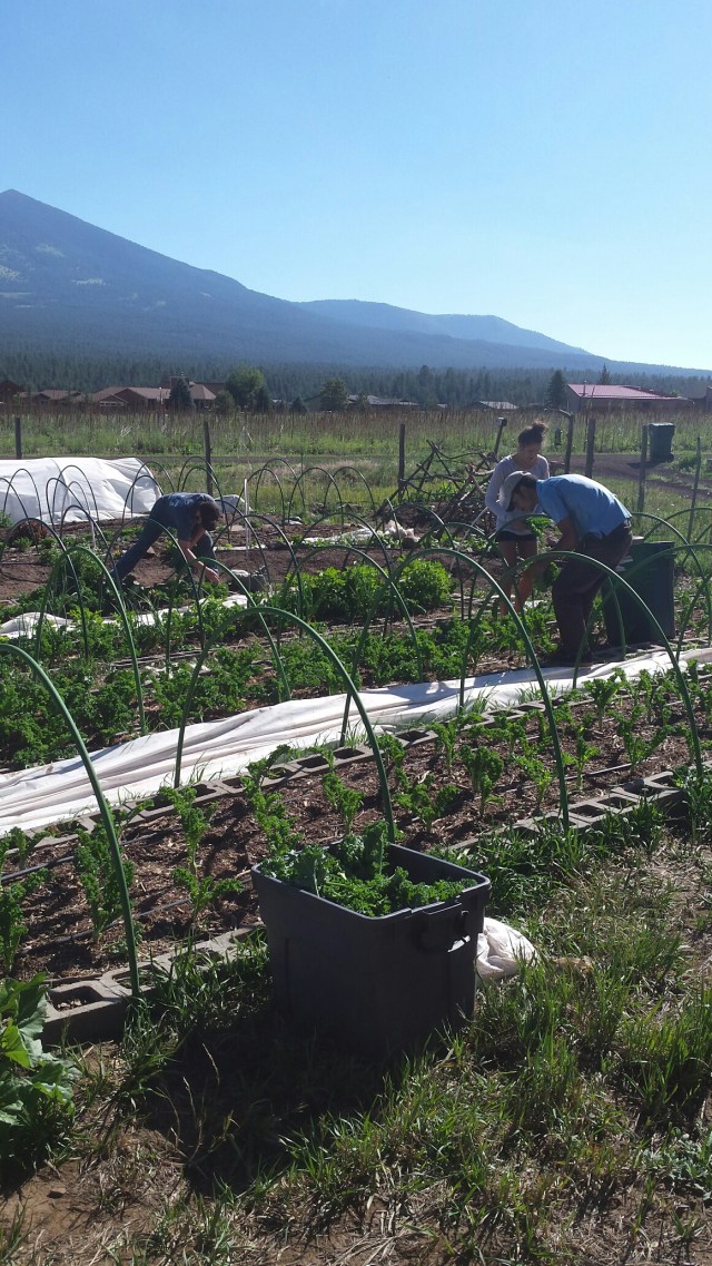 20160705_083639_resized