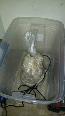 20160803_091134_resized