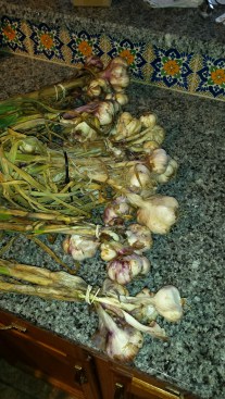 20160803_152736_resized