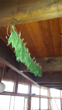 20160803_152747_resized