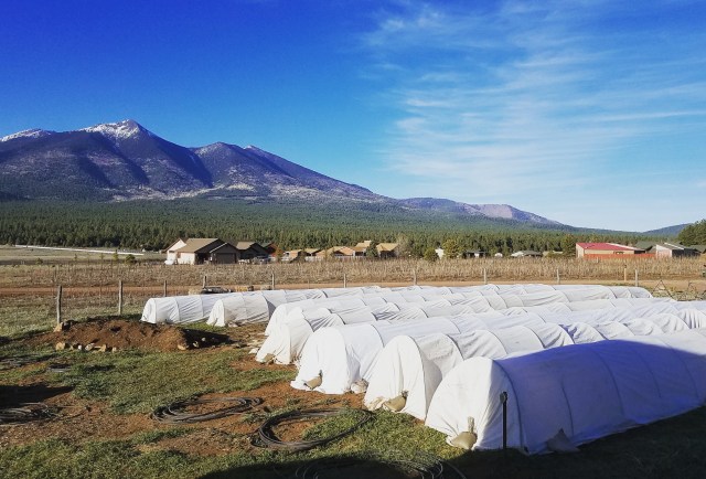 IMG_20170419_194855_327