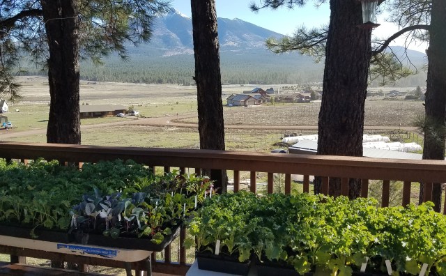 IMG_20170420_080800_184