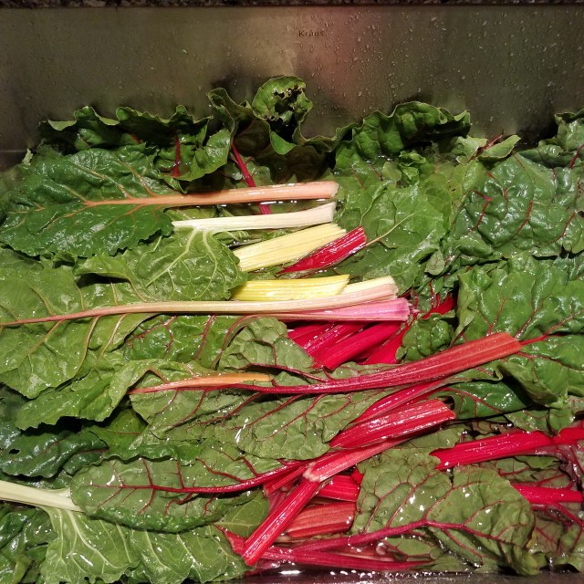 Chard
