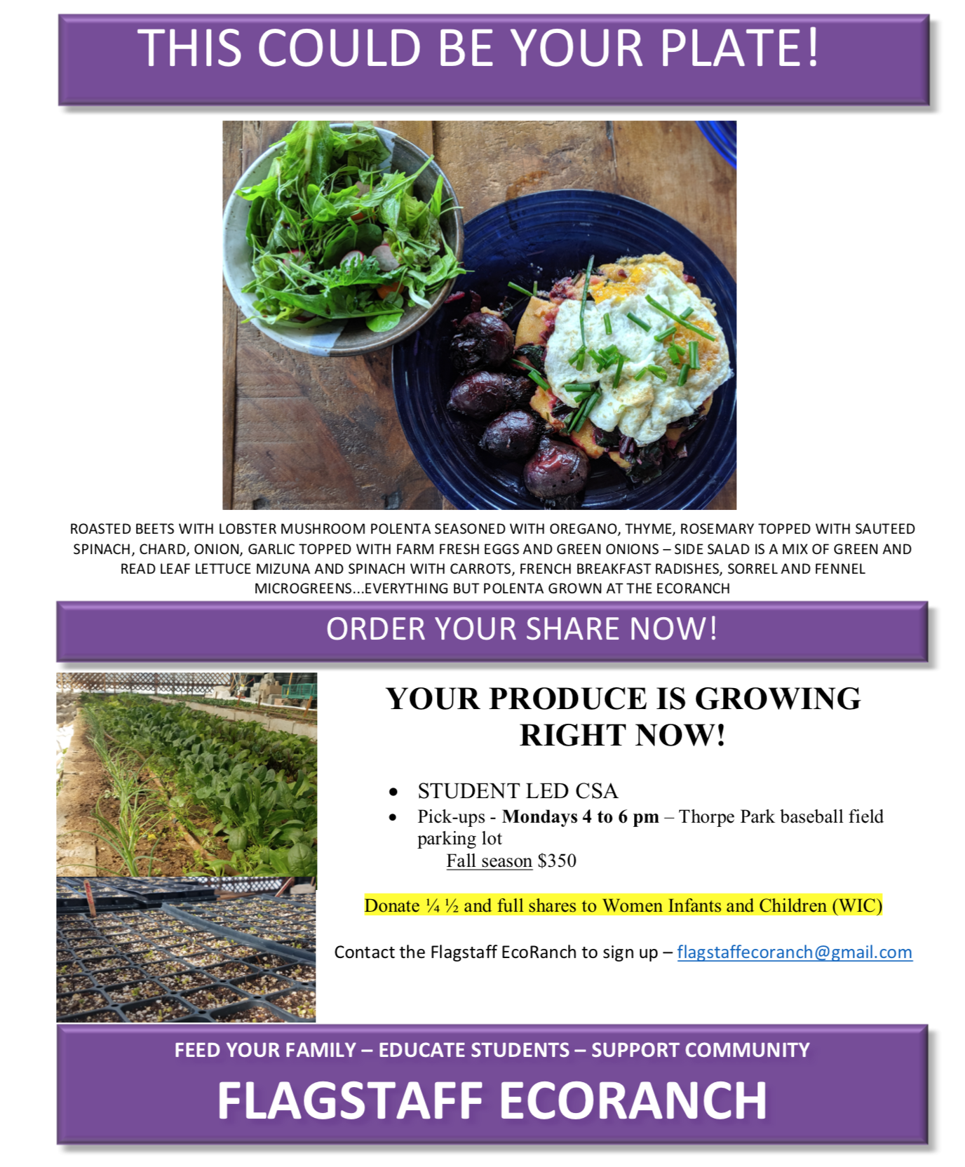 Screen Shot 2019-06-09 at 11.19.28 AM