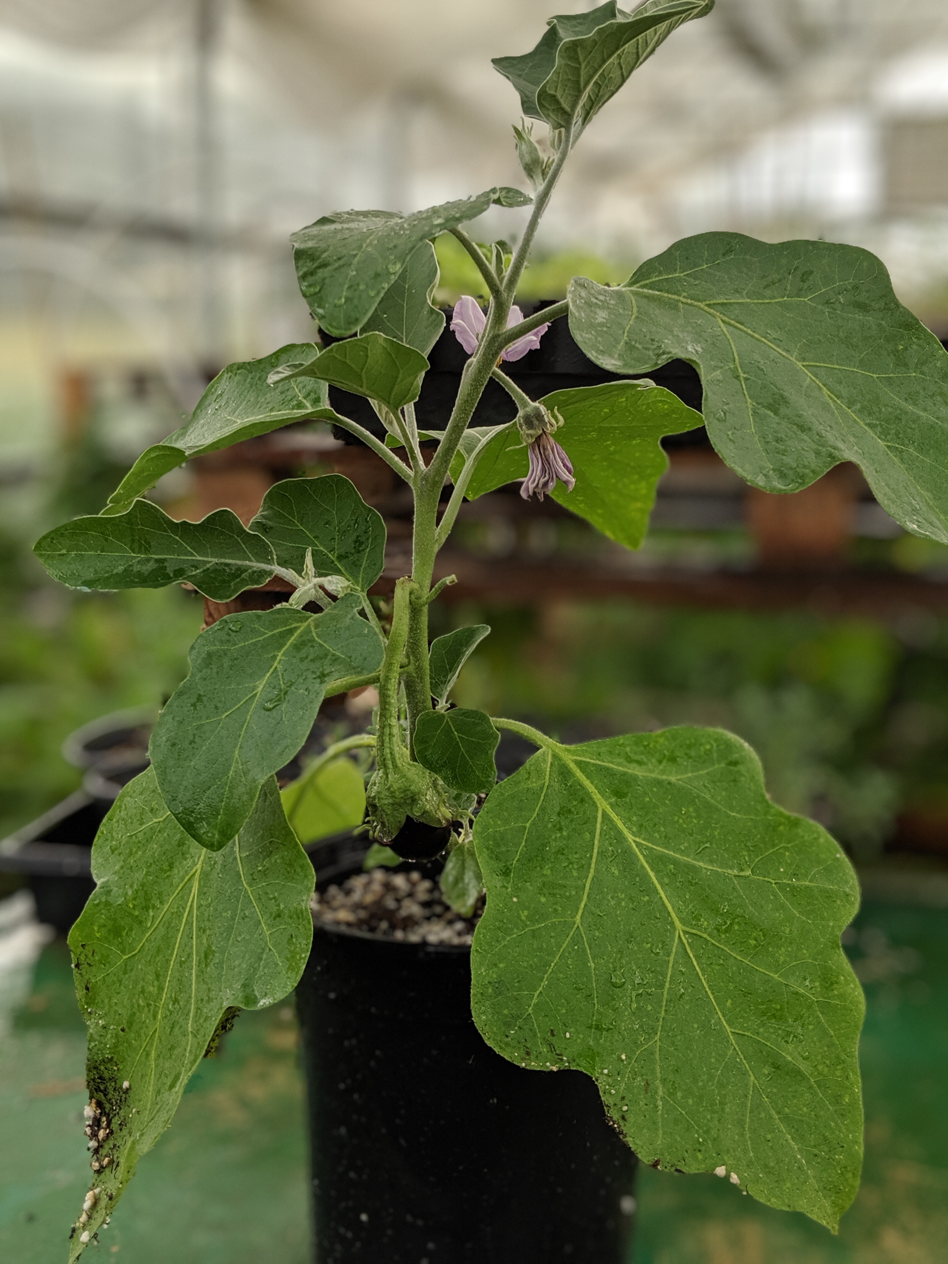 00100lPORTRAIT_00100_BURST20190711182124638_COVER