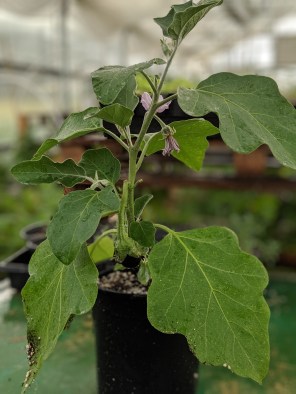 00100lPORTRAIT_00100_BURST20190711182124638_COVER