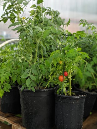 00100lPORTRAIT_00100_BURST20190711182153913_COVER